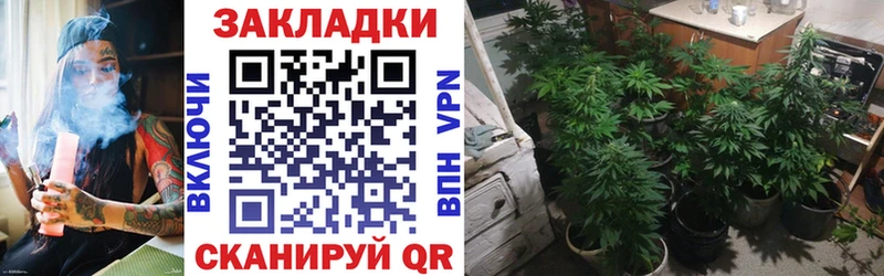 Где можно купить наркотики Прохладный Cocaine  МЕФ  ГАШИШ  АМФ  Каннабис  A PVP 