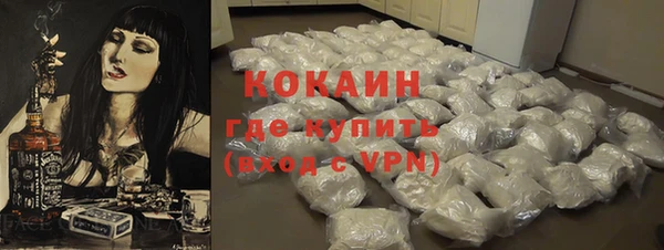 прущие грибы Осташков
