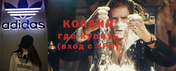 прущие грибы Осташков