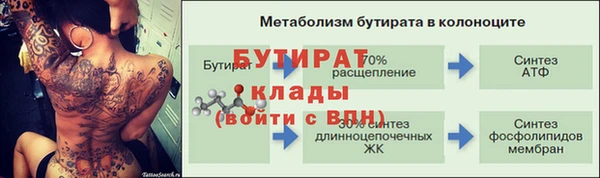 прущие грибы Осташков