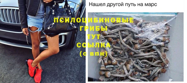 прущие грибы Осташков