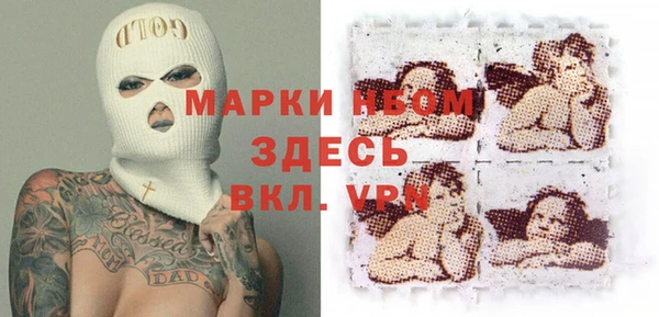 прущие грибы Осташков