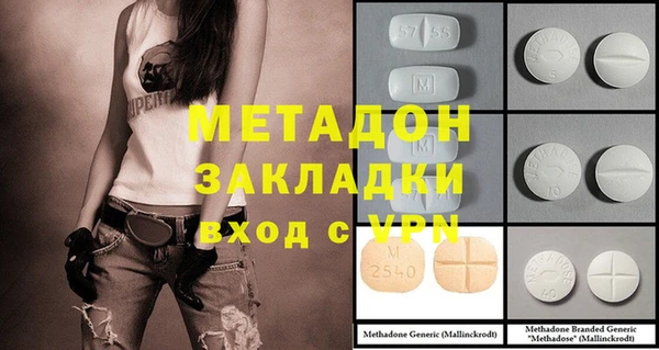 прущие грибы Осташков