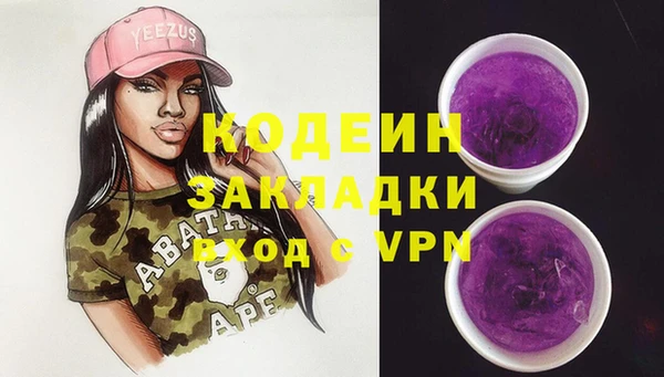 прущие грибы Осташков