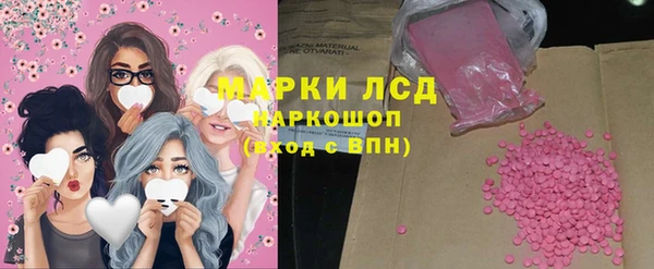 прущие грибы Осташков