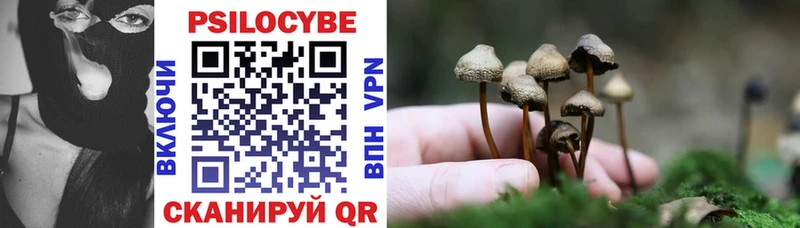 мориарти формула  купить наркоту  Прохладный  Галлюциногенные грибы Magic Shrooms 