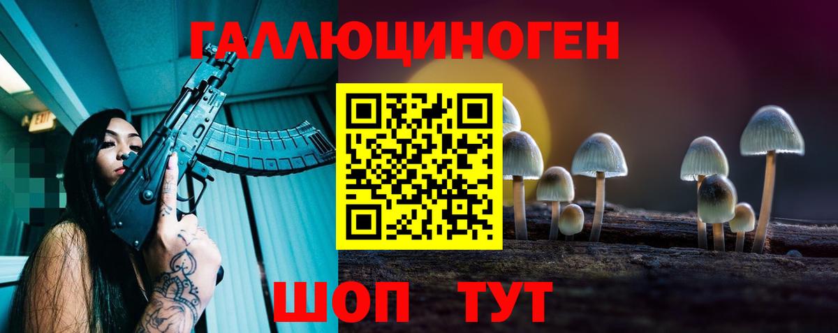Галлюциногенные грибы Psilocybe  Вход с VPN  Прохладный  Псилоцибиновые грибы Magic Shrooms 