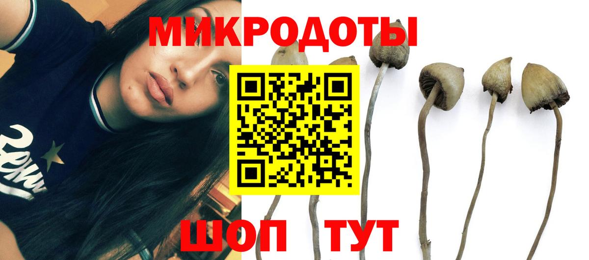 Псилоцибиновые грибы ЛСД Прохладный